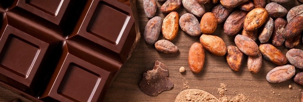 Professional Chocolate Making Courses in Delhi, India | Chocolate making classes